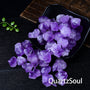 Raw amethyst crystal clusters in black display dish