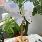 Blue Chalcedony Wings Front View Wholesale Crystal