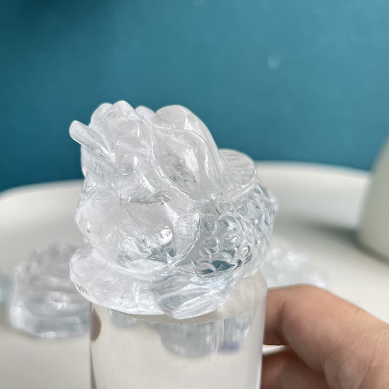 Clear quartz golden toad carving as premium collectors crystal item