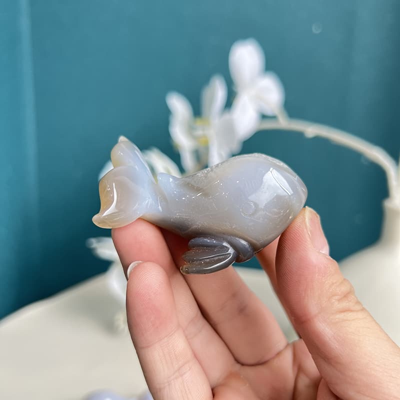 White agate dolphin crystal carving on display with decorative elements
