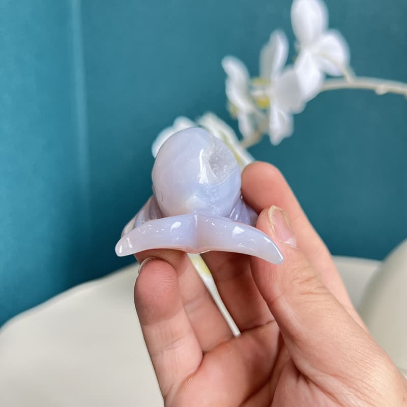 Dolphin agate crystal displayed with white orchid on teal background