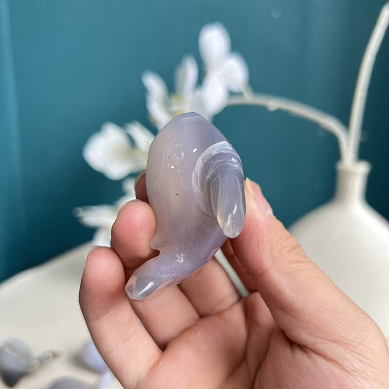Dolphin agate crystal carving presented as elegant spiritual gift in decorative box