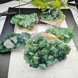 Collector's Grade Green Fluorite Crystal Cluster