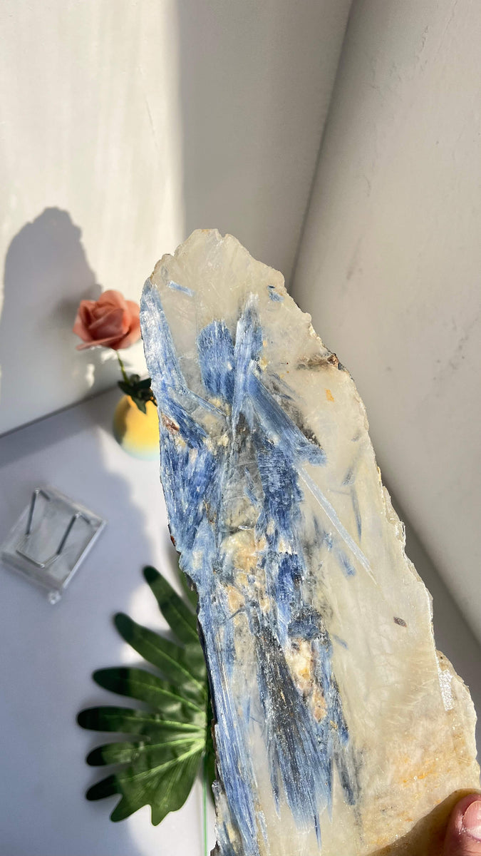Kyanite Crystal for Chakra Alignment Healing