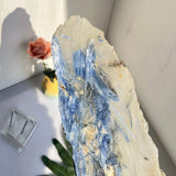 Kyanite Crystal for Chakra Alignment Healing