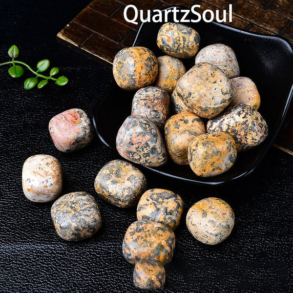 Natural Leopard Skin Jasper tumbled stones displayed in black bowl with wooden accent