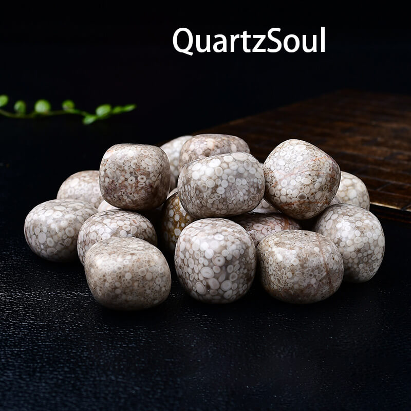 Chrysoprase Tumbled Stones - Healing Crystal Gemstones