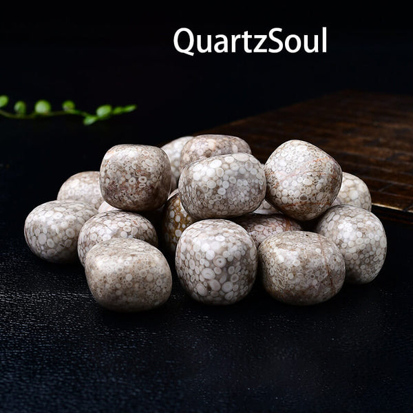 Chrysoprase Tumbled Stones - Healing Crystal Gemstones