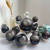 Premium Natural Black Obsidian Sphere Crystal Wholesale