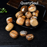 Natural Picture Jasper tumbled stones displayed in black bowl showing earth-tone patterns