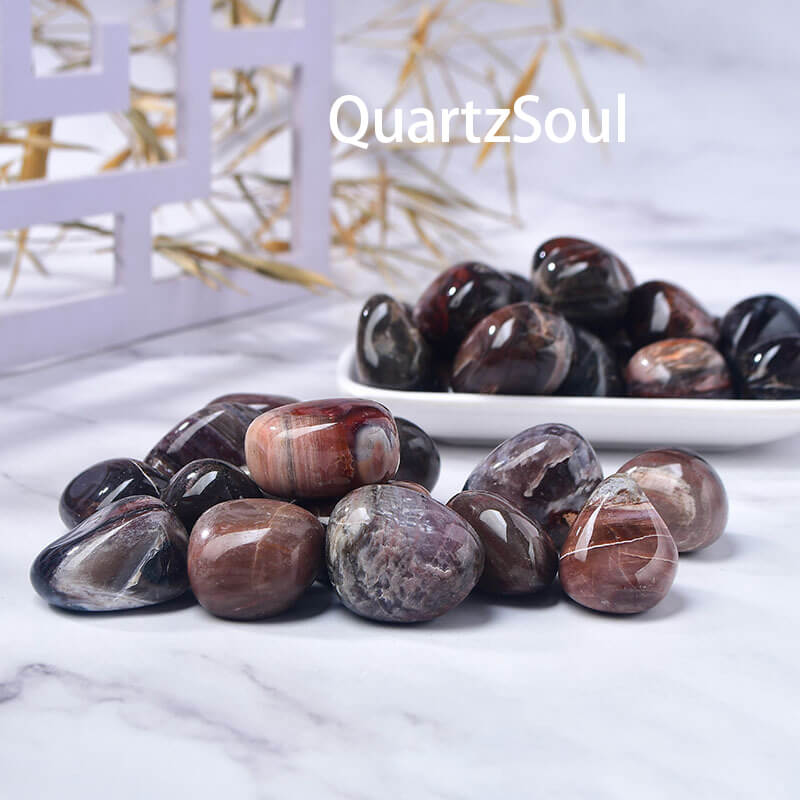 Petrified Wood Tumbled Stone Ancient Fossilized Healing Gems
