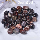 Assorted Petrified Wood polished tumbled gemstones on marble background