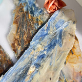 Premium Quality Kyanite for Wholesale Crystal Business