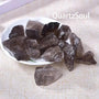 Premium smoky quartz raw crystal points arranged in white display bowl showing size variations