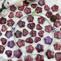 Premium Red Moonstone Star and Heart Shaped Healing Crystals Wholesale Bulk