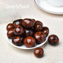 Collection of polished Red Obsidian tumbled stones displayed on white plate