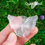Translucent White Selenite Butterfly Crystal Palm Stone