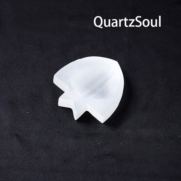 Natural Selenite Crystal Mineral Texture