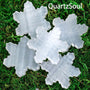 Selenite crystal palm stone with beautiful snowflake pattern variation