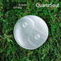 Selenite Crystal Yin Yang Palm Stone on Green Moss