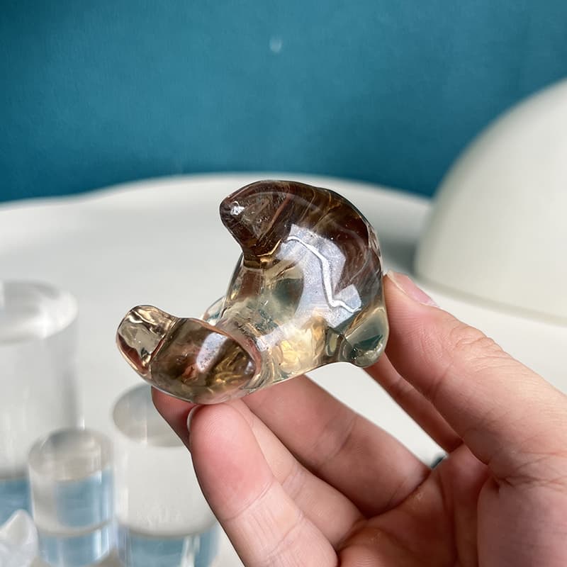 Smoky Quartz Fish Crystal Carving Home Decor Display