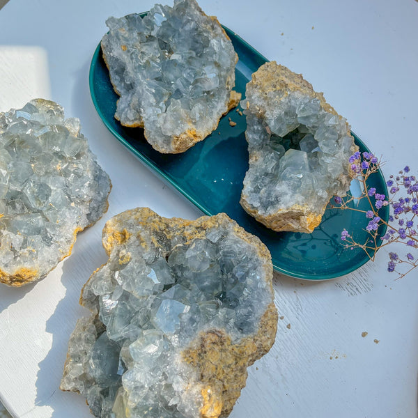 Natural Celestite Crystal Clusters for Healing and Collection