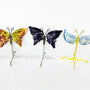 Crystal Display Stand for Minerals and Gemstones