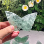 Fluorite Carved Butterfly | Retail & Wholesale