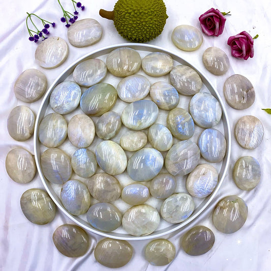 Moonstone Palm Wholesalers