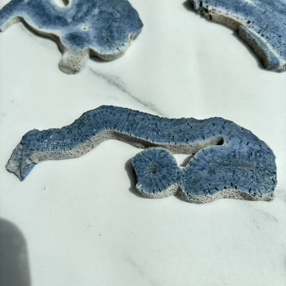 Natural Blue Coral Jade Freeform Wholesale