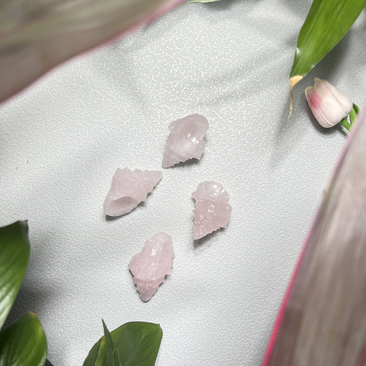 Natural Rose Quartz Carved Conch