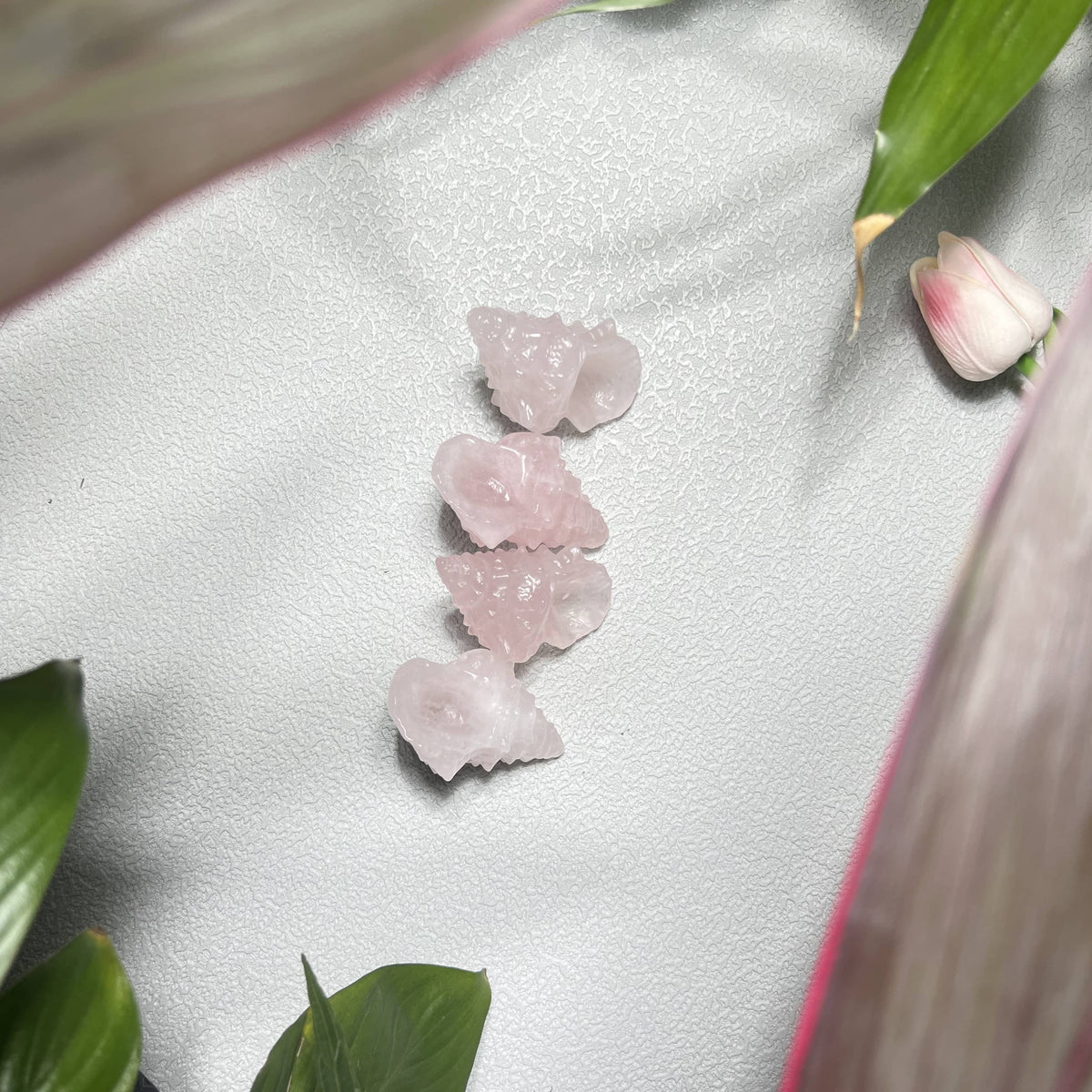 Natural Rose Quartz Carved Conch