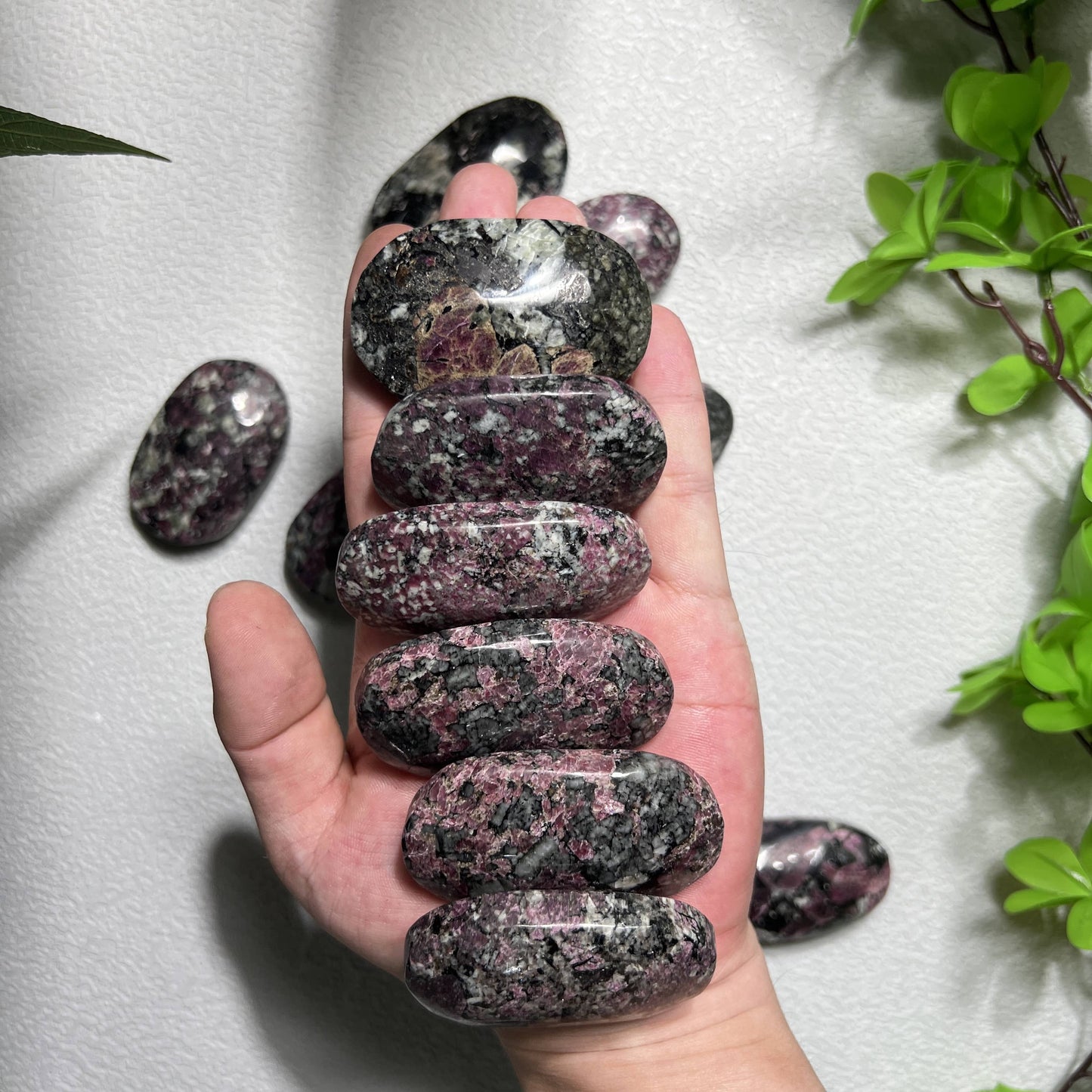 Eudialyte Palm Stone 