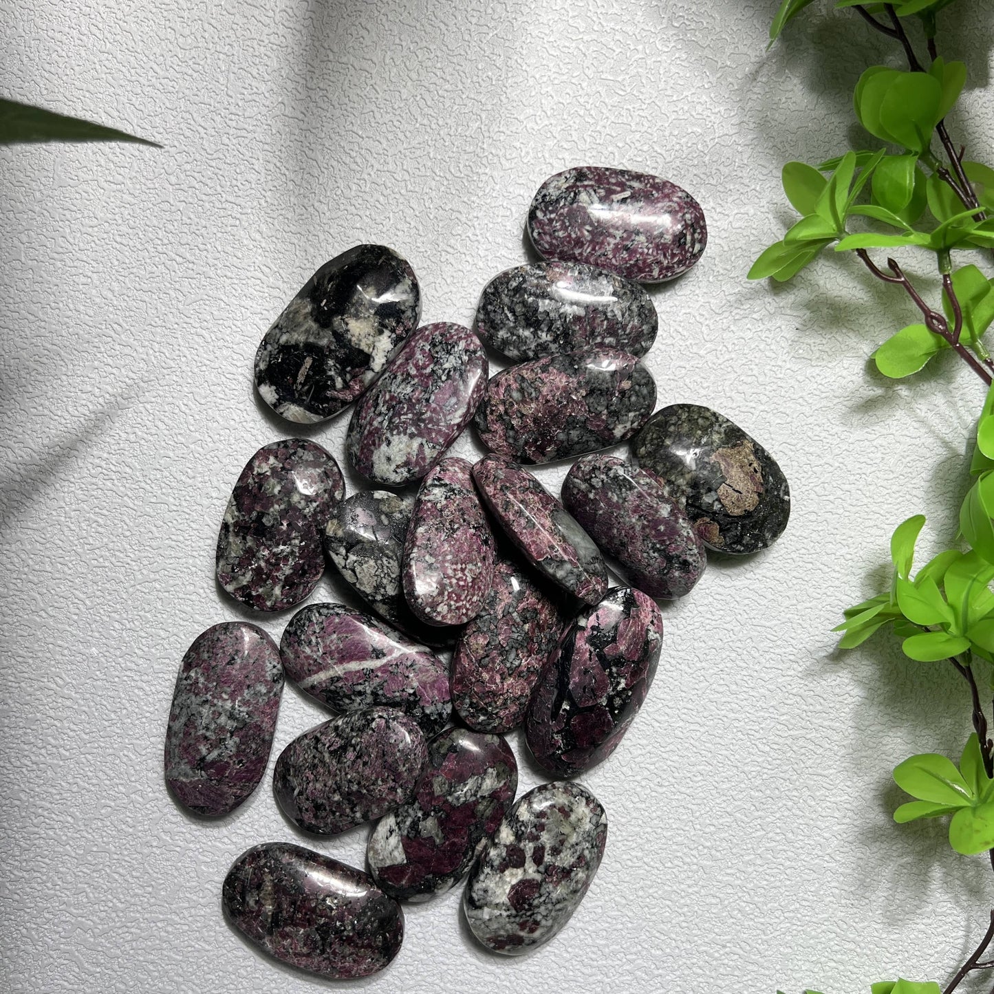 Wholesale Eudialyte Palm Stone