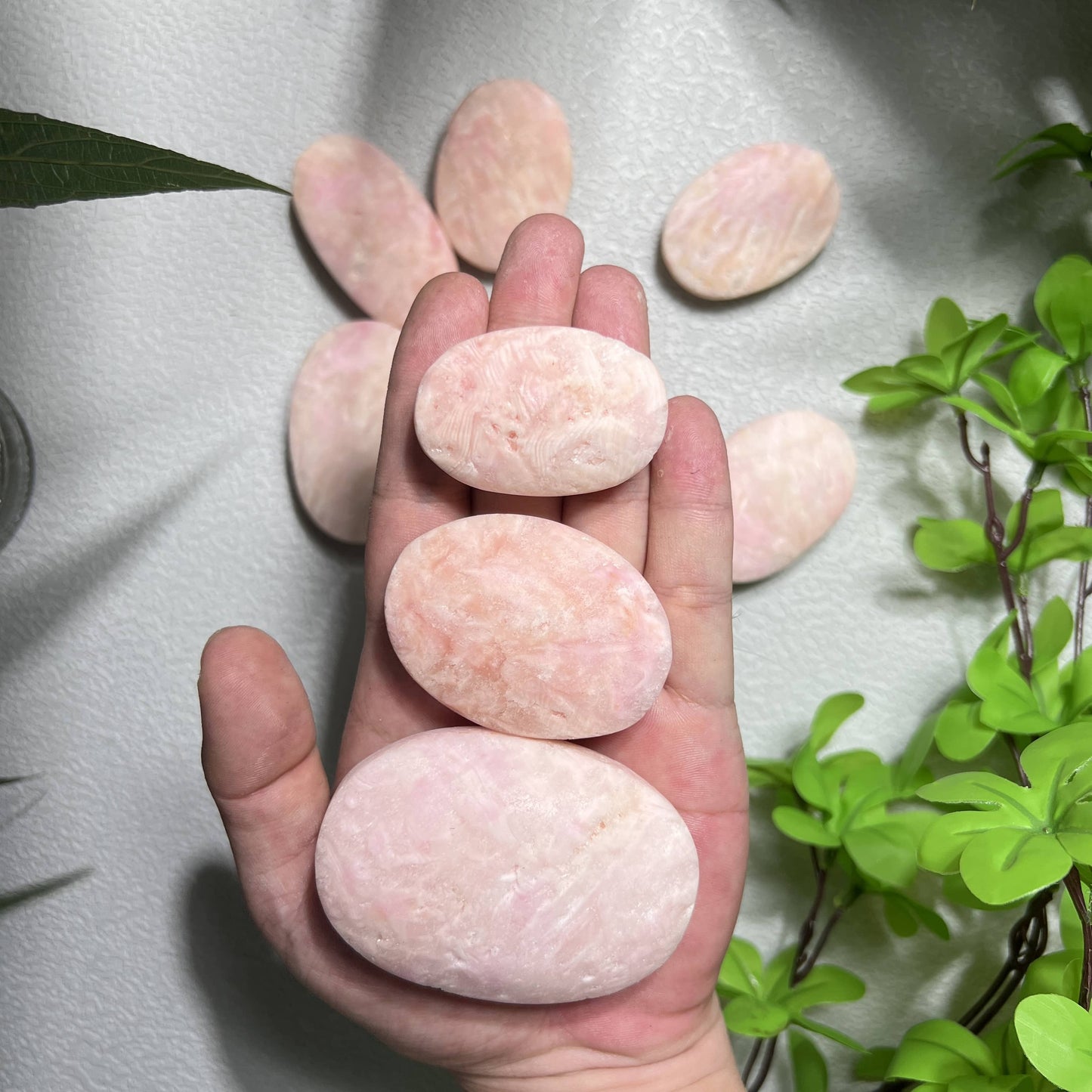 Wholesale Pink Aragonite Palm