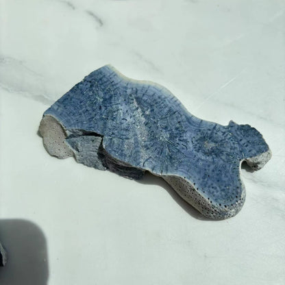 Blue Coral Jade Freeform Crystal Wholesale Collection Display