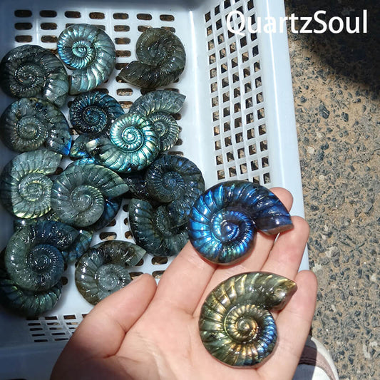 Blue flash labradorite carved snail crystal wholesale specimen