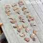 Crescent Shape Flower Agate Wholesale Crystal Collection