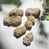 Wholesale collection of various Desert Rose Crystal clusters for crystal suppliers