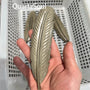 Leaf-shaped golden obsidian carving crystal available for wholesale