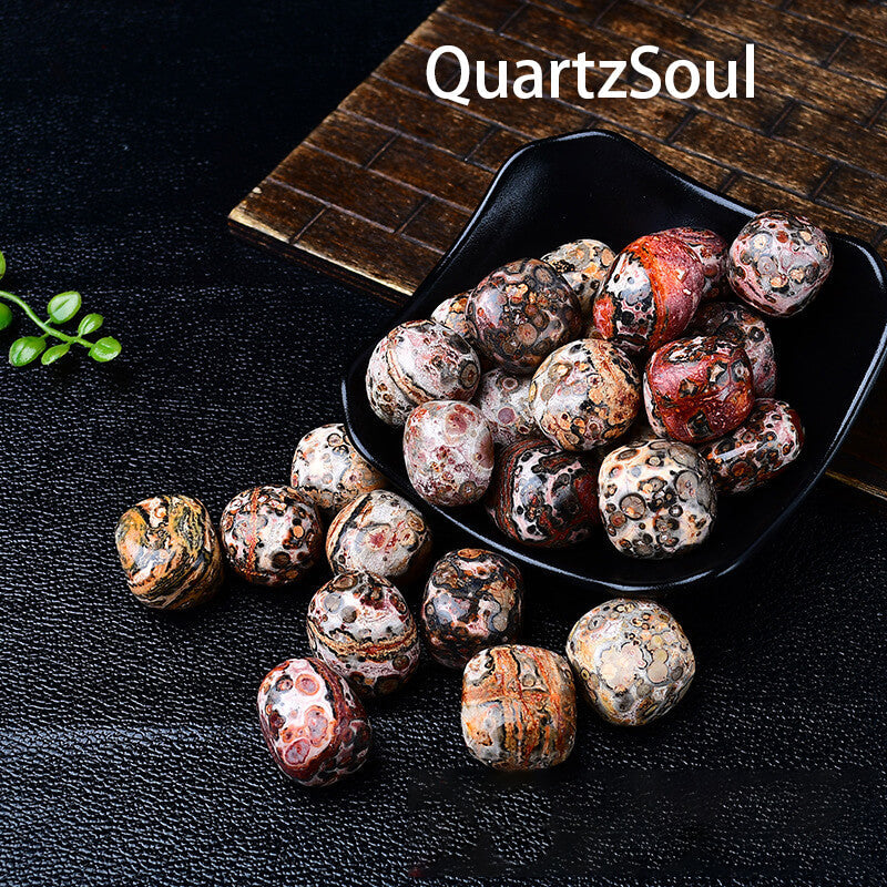 Premium Leopardskin Jasper Polished Tumbled Stones Displayed in Black Bowl
