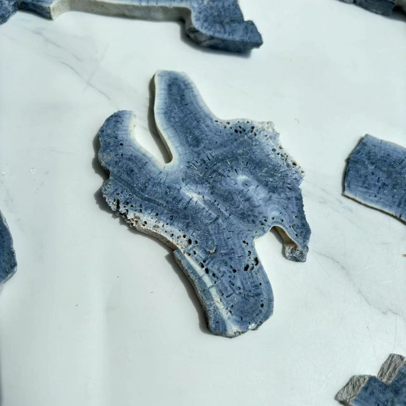 Natural Blue Coral Jade Freeform Crystal Healing Properties