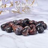 Natural Petrified Wood tumbled stones collection with unique fossilized patterns