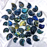 Premium quality Labradorite shell crystal with blue flash for wholesale crystal suppliers