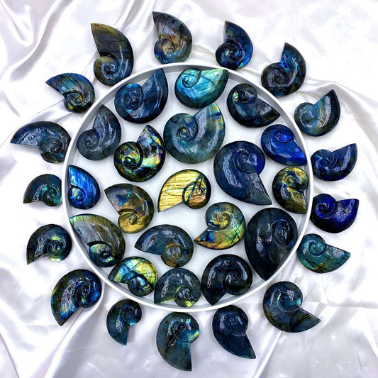 Premium quality Labradorite shell crystal with blue flash for wholesale crystal suppliers