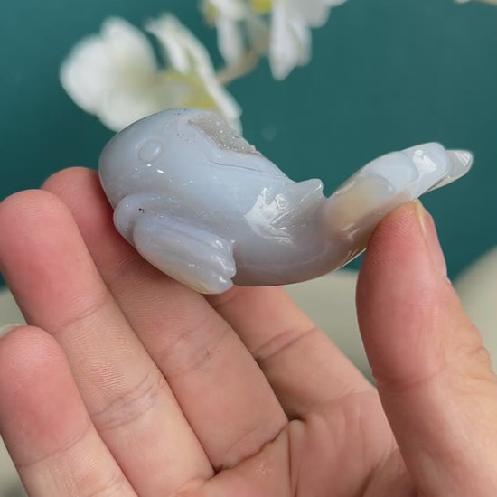 Dolphin white agate crystal carving in soft light