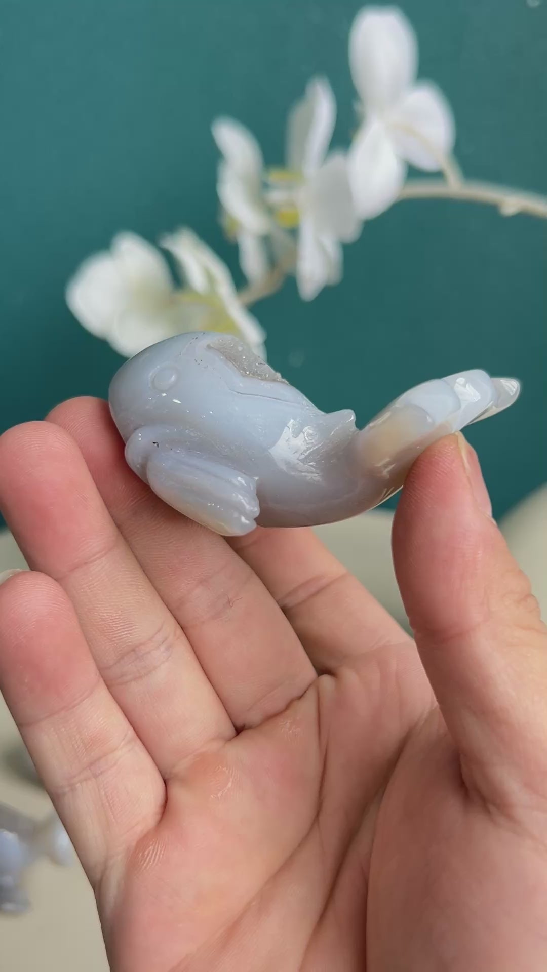 Dolphin white agate crystal carving in soft light
