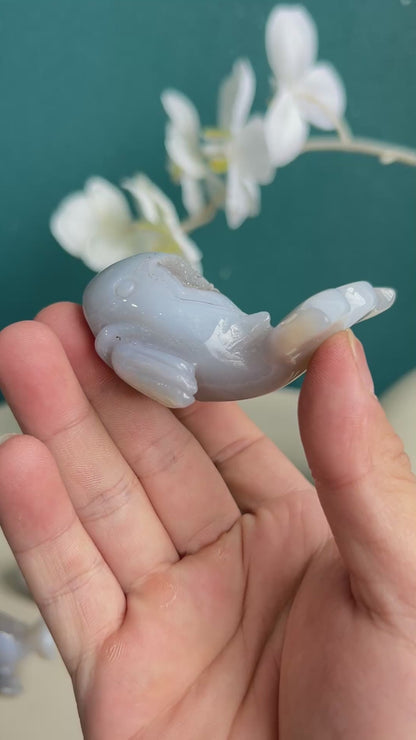 Dolphin white agate crystal carving in soft light