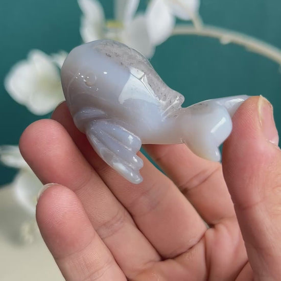 Dolphin agate crystal figurine against complementary blue background