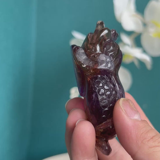 Natural Ametrine Properties in Carved Golden Toad Crystal